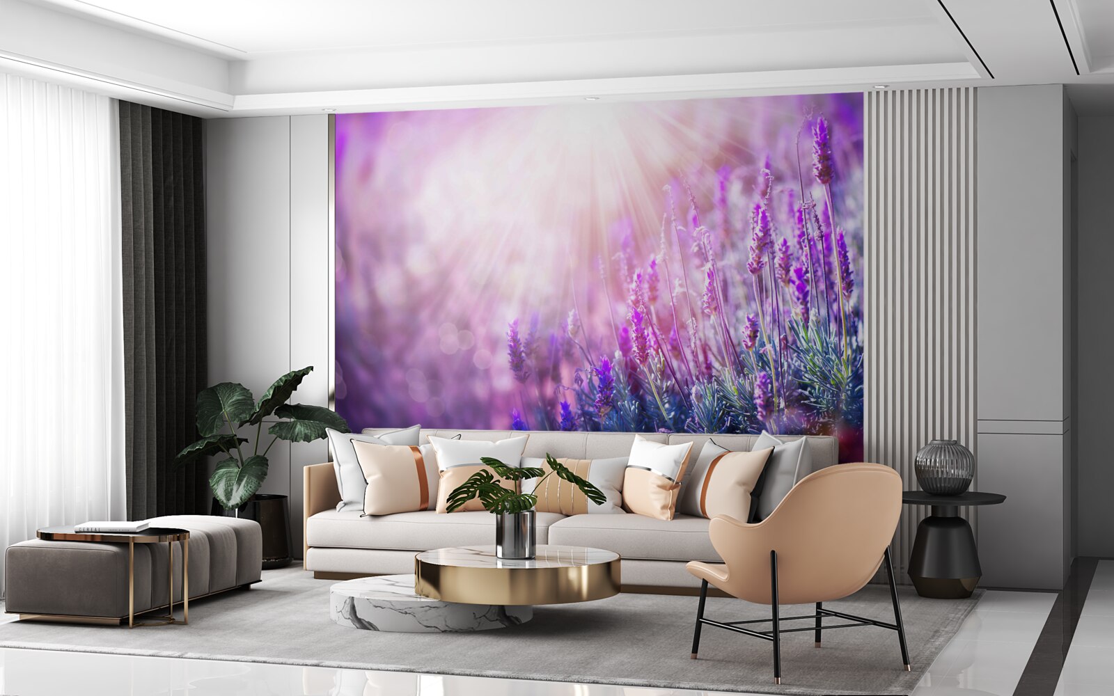 Fototapeta slnečné lúče osvetľujú levanduľové kríky