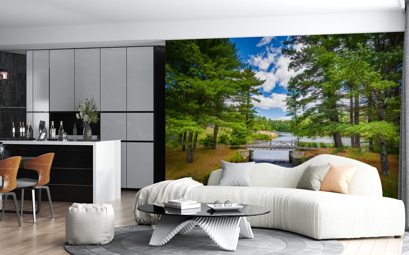 Fototapeta rýchly prúd ovplyvňuje zamazané lesy