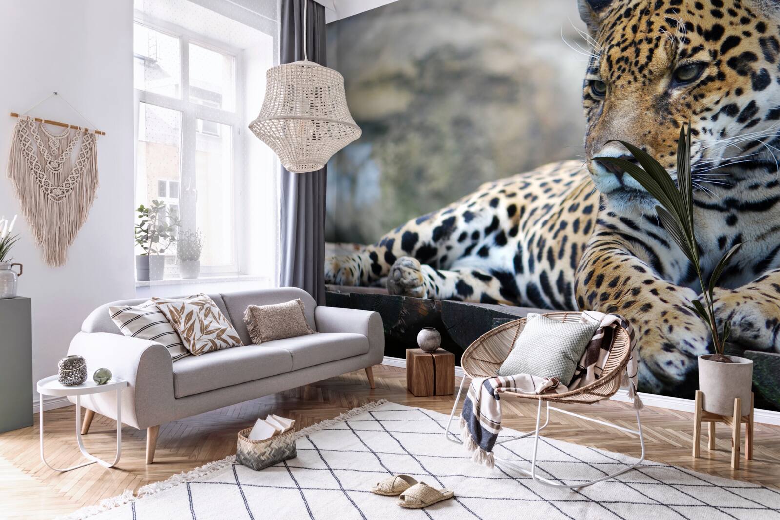 Fototapeta leopard relaxuje na drevených podlahách