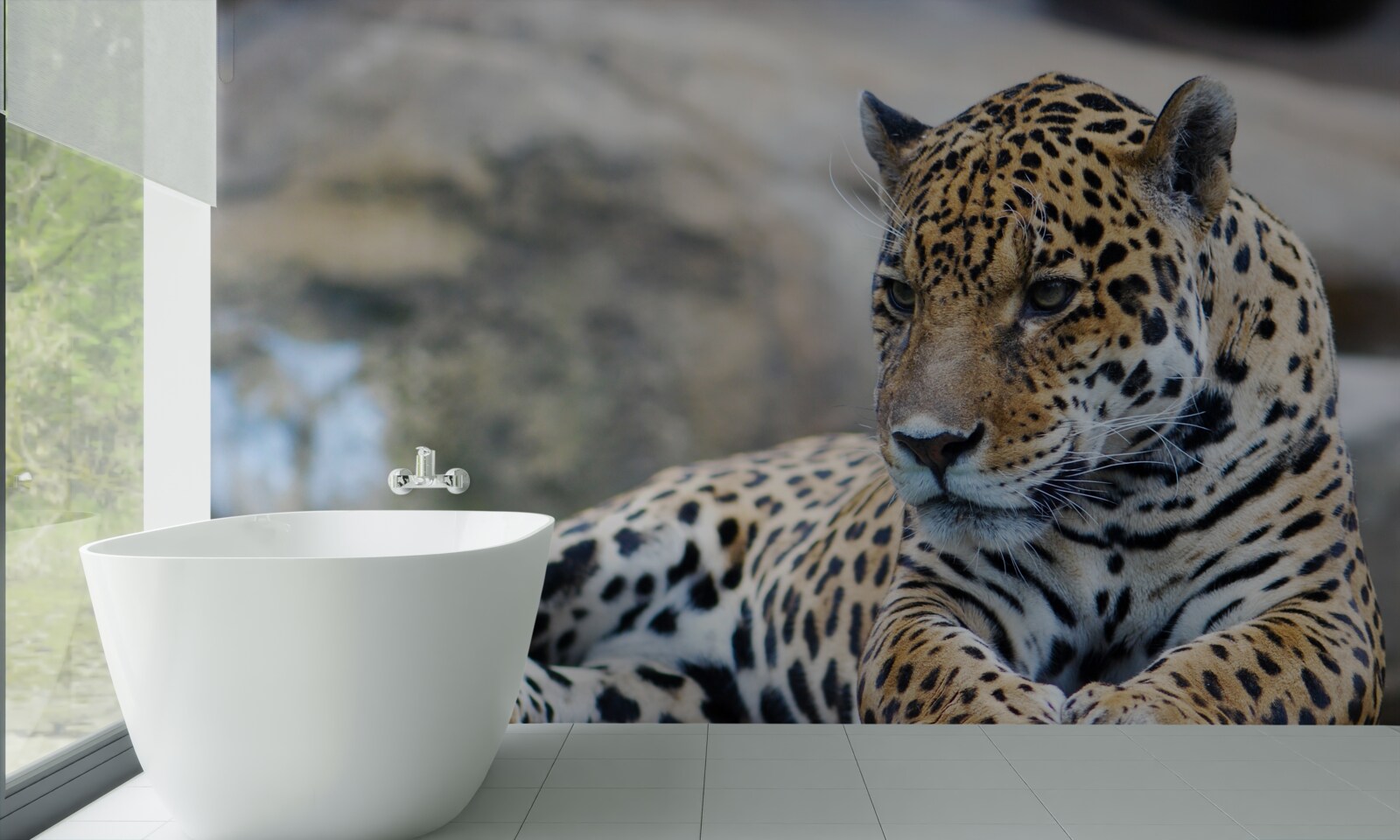 Fototapeta leopard relaxuje na drevených podlahách