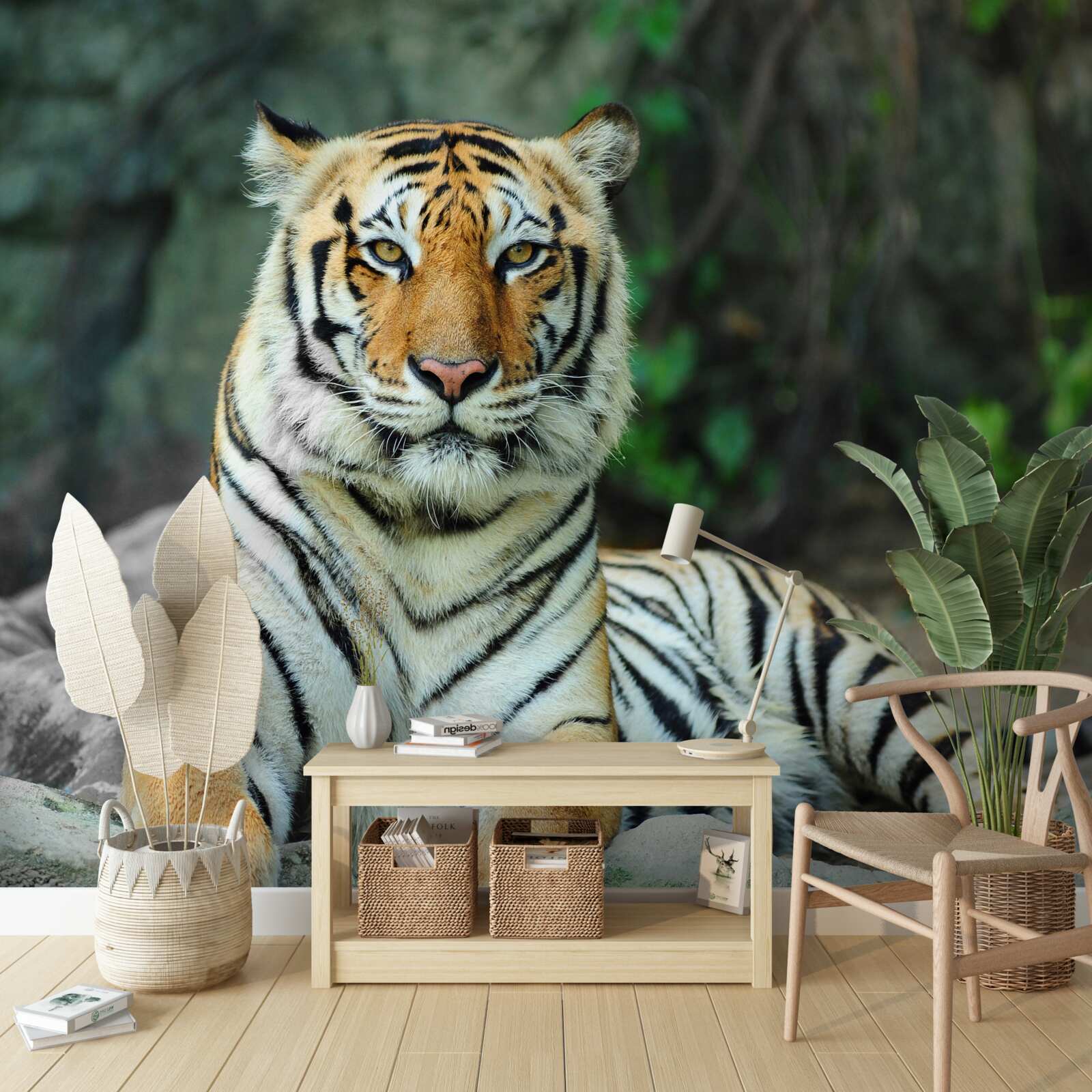 Fototapeta tiger pózuje na skale