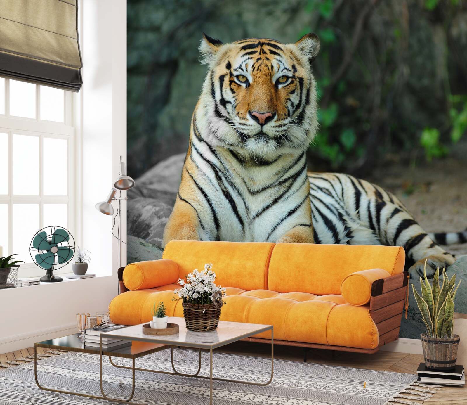 Fototapeta tiger pózuje na skale