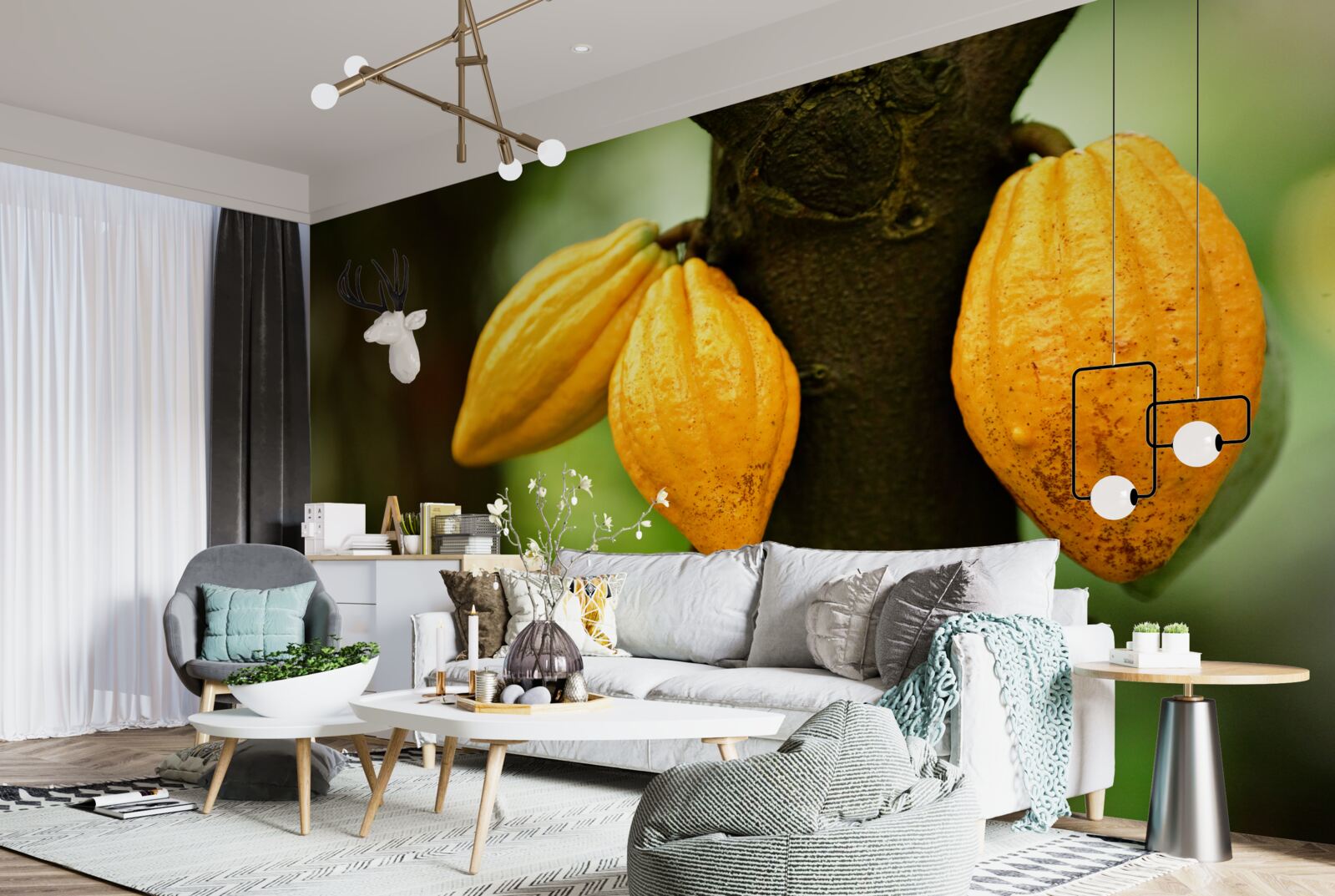 Fototapeta kávové zrná na rastline