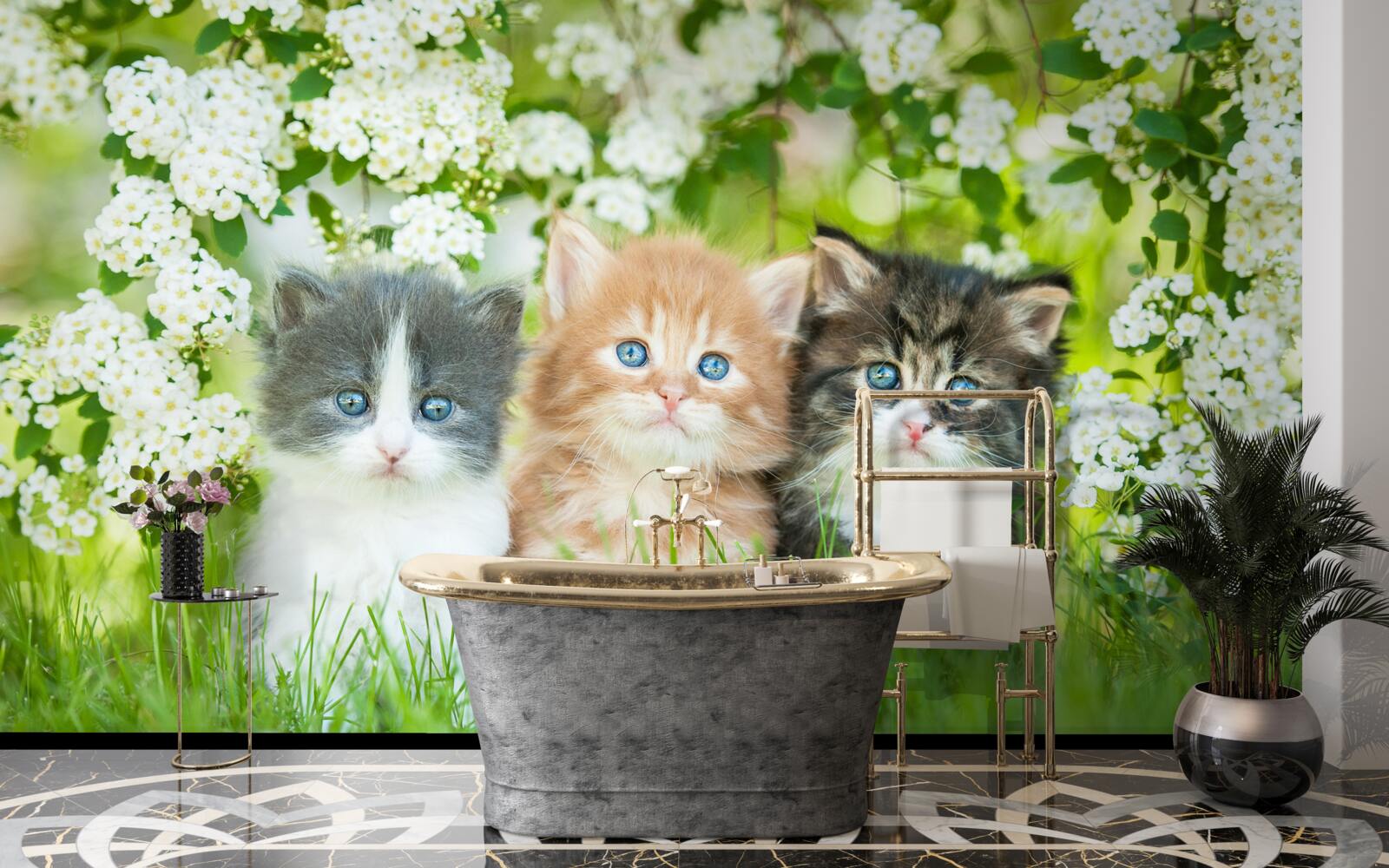 Fototapeta maličký na rozkvitnutej lúke