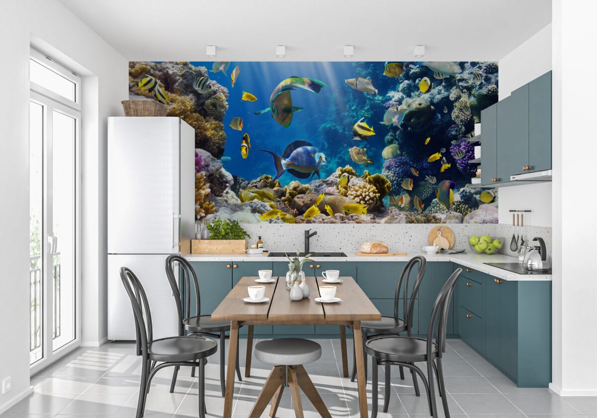 Fototapeta svetlé ryby a podvodné rastliny