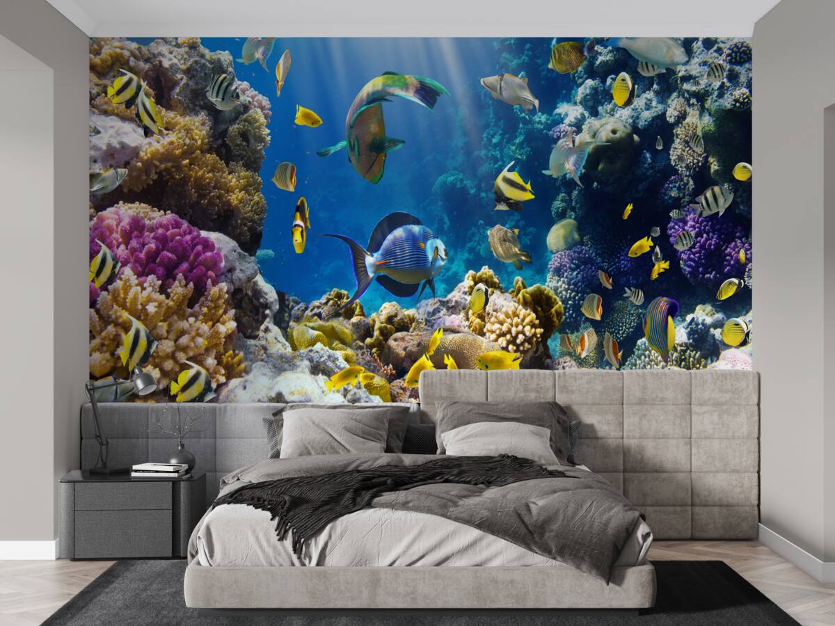 Fototapeta svetlé ryby a podvodné rastliny