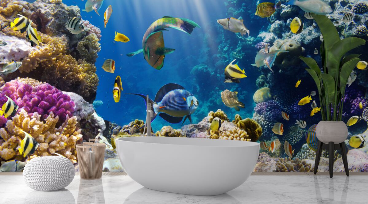 Fototapeta svetlé ryby a podvodné rastliny