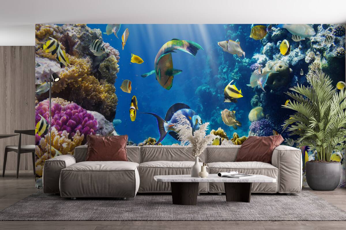 Fototapeta svetlé ryby a podvodné rastliny