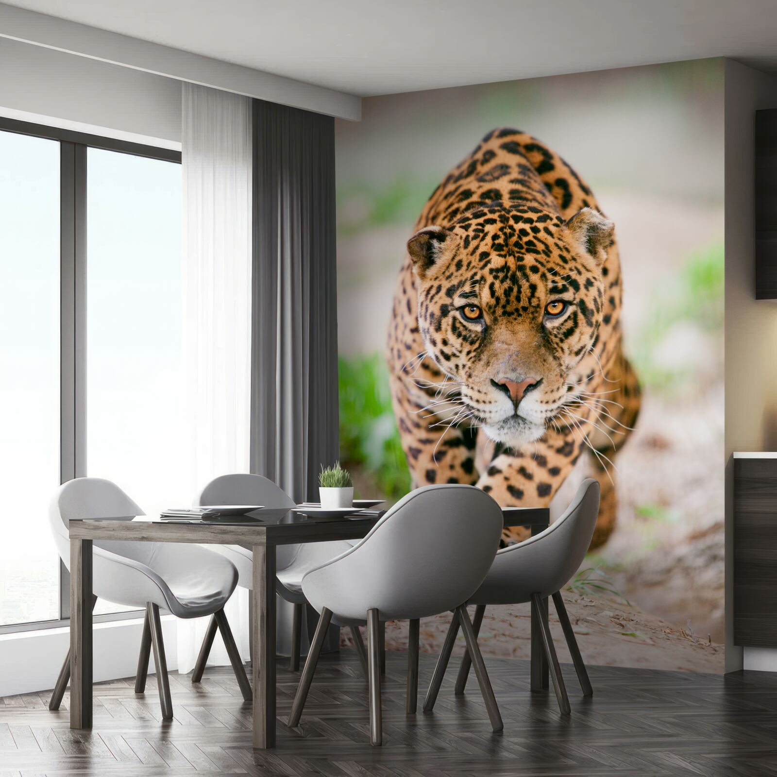 Fototapeta prikrčený leopard s jantárovými očami