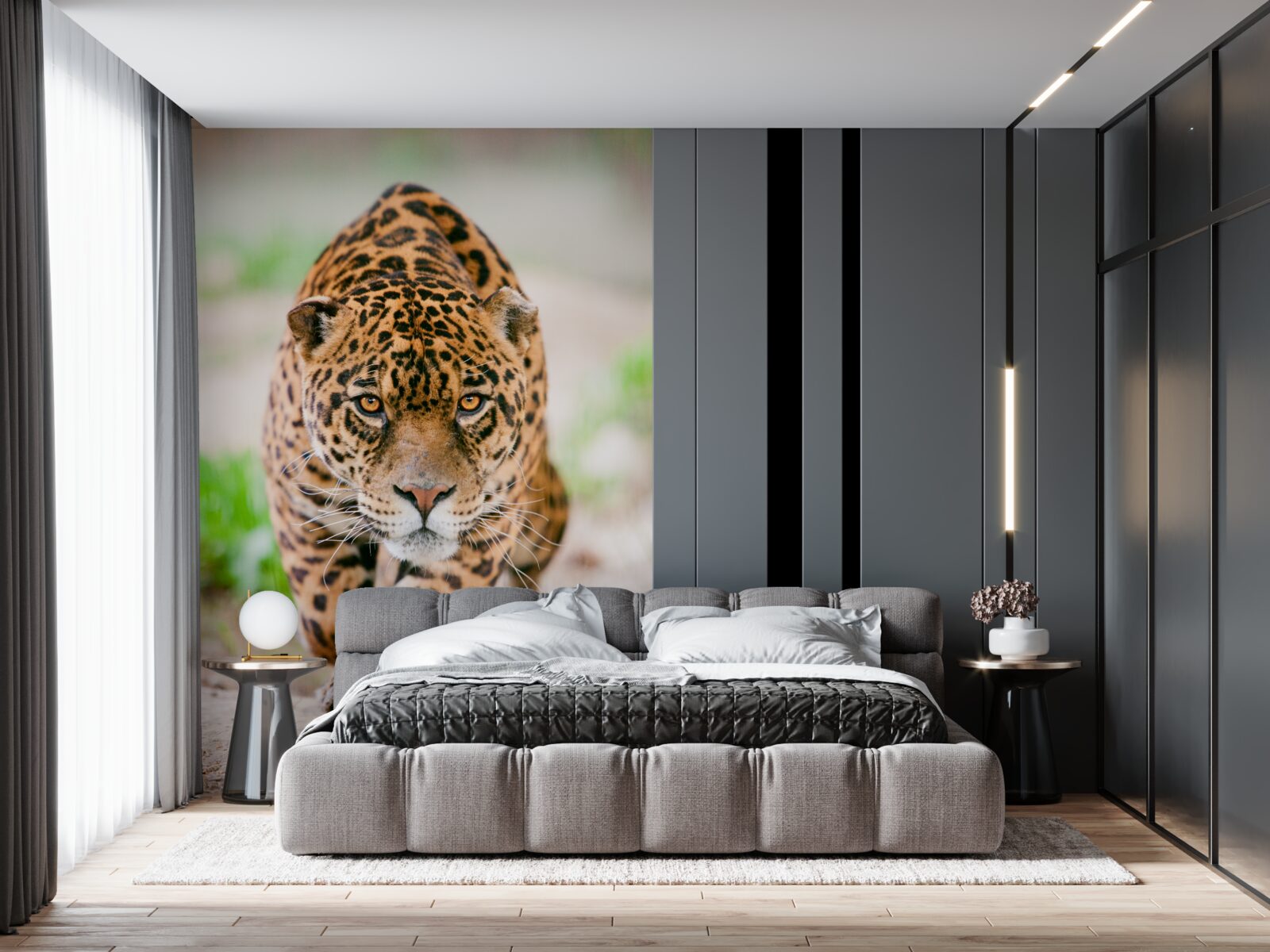 Fototapeta prikrčený leopard s jantárovými očami