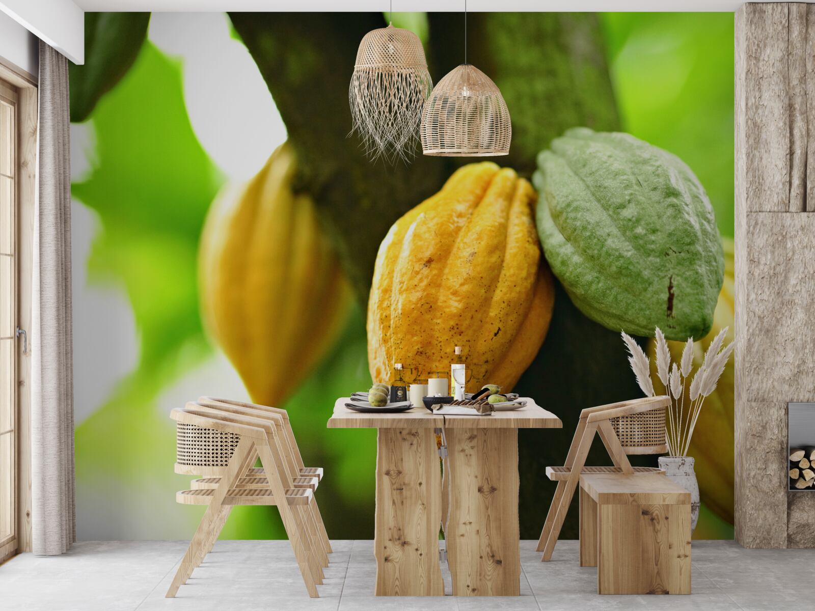 Fototapeta zrelé kakaové bôby na strmej strane