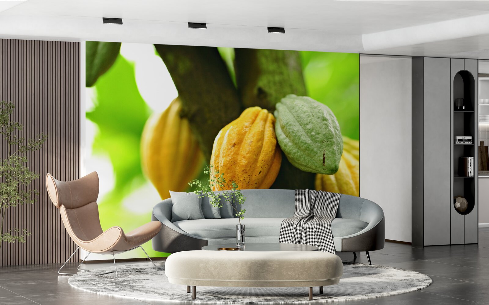 Fototapeta zrelé kakaové bôby na strmej strane