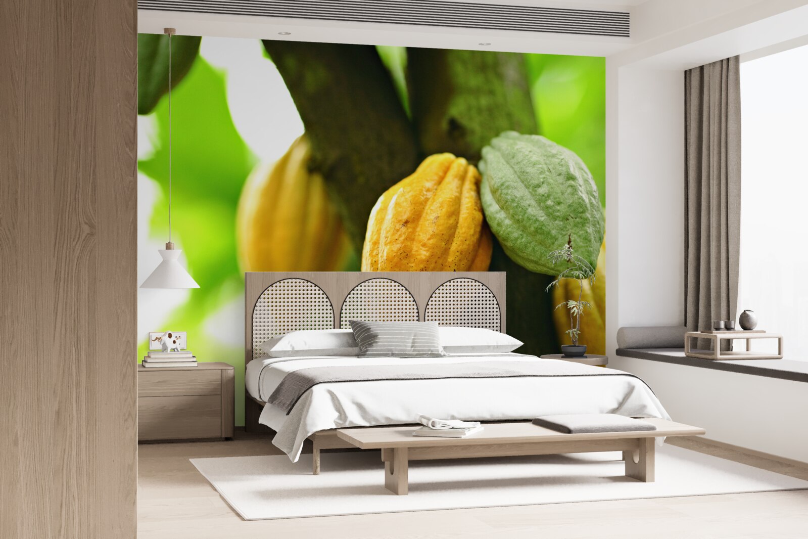 Fototapeta zrelé kakaové bôby na strmej strane