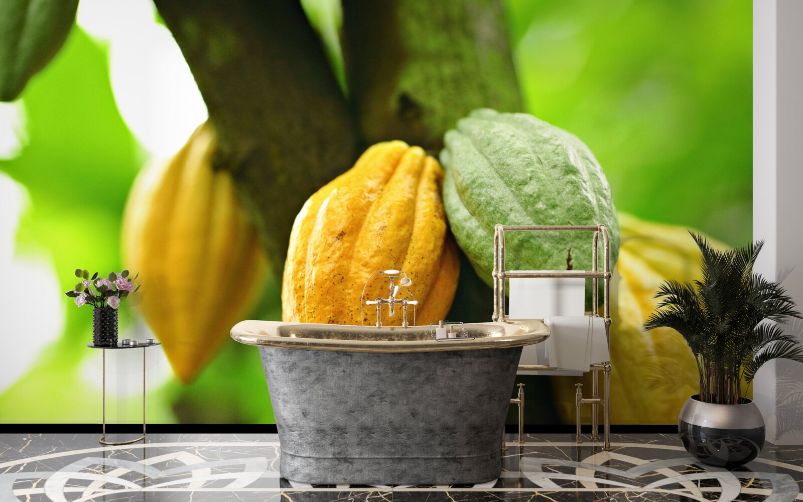 Fototapeta zrelé kakaové bôby na strmej strane