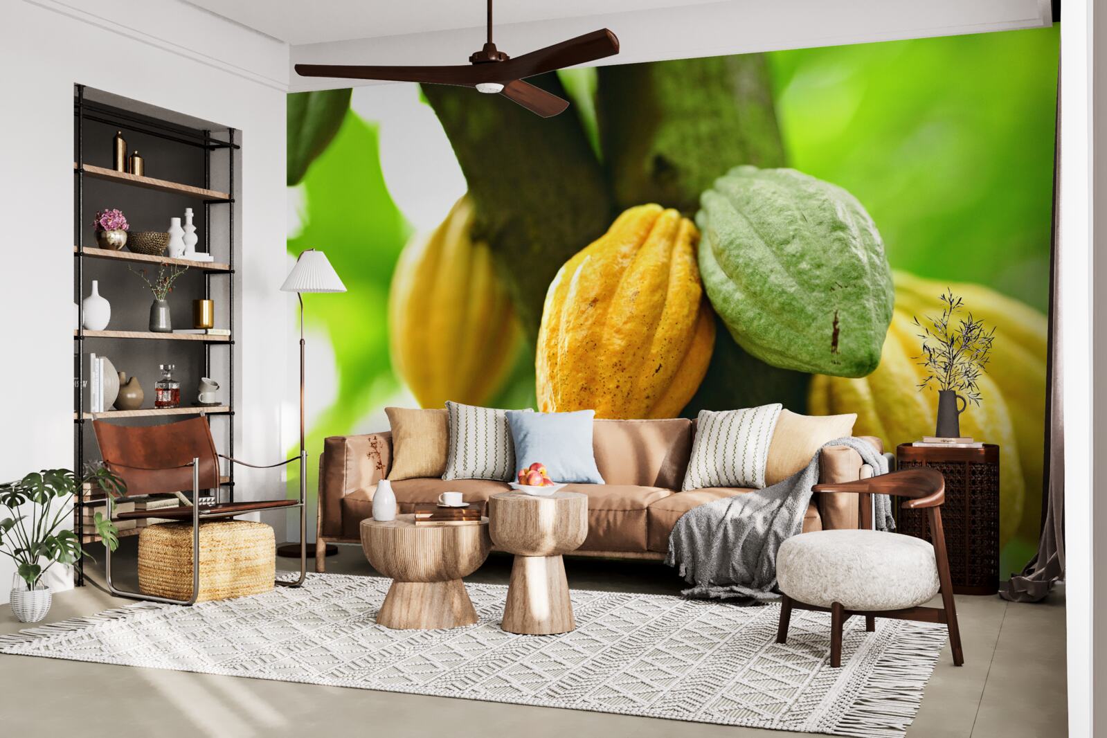 Fototapeta zrelé kakaové bôby na strmej strane