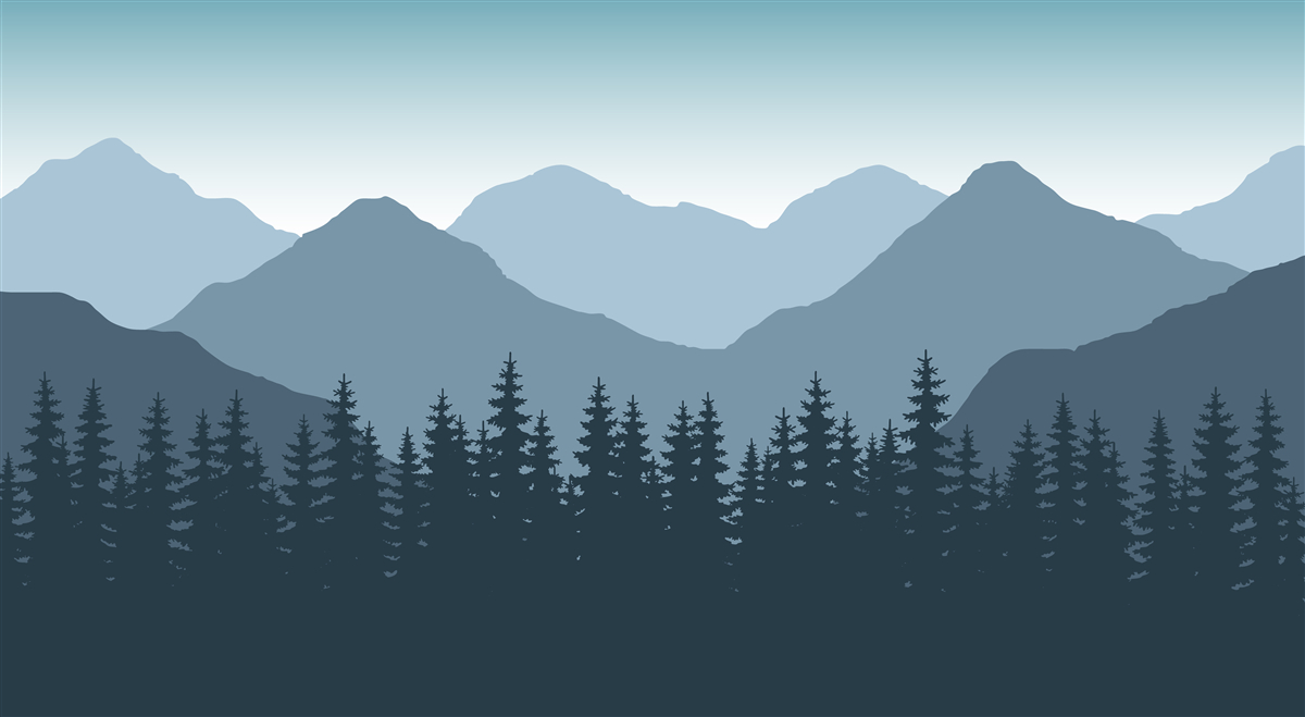 Fototapeta hmlisté hory a ihličnatý les