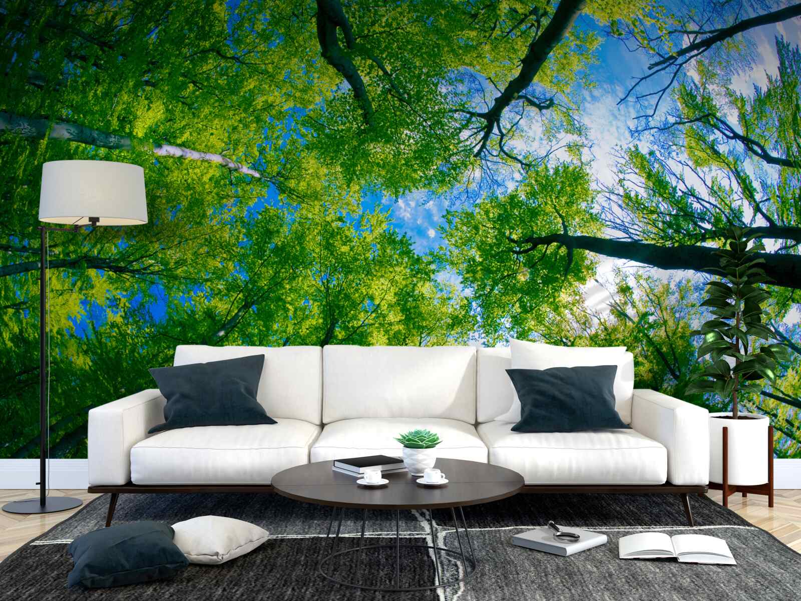 Fototapeta smaragdovo sfarbený les s modrou oblohou v Pozadí