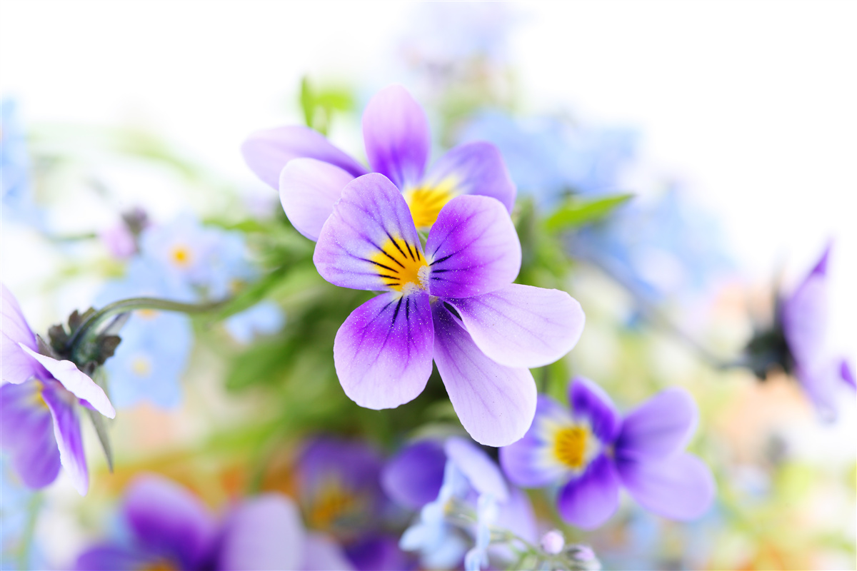 Fototapeta na spodok svetlej farby svetlomodré šaty