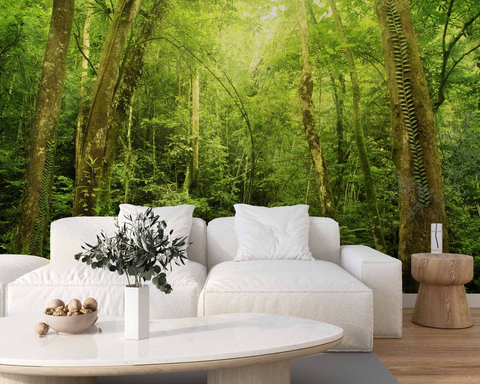 Fototapeta slnečné lúče sa predierajú hustým zeleným lesom