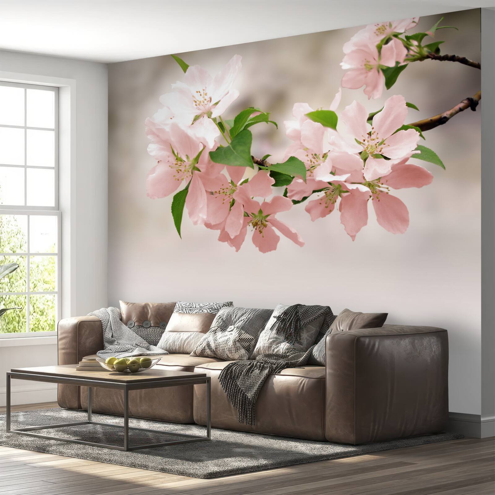 Fototapeta Ružové kvety sakura