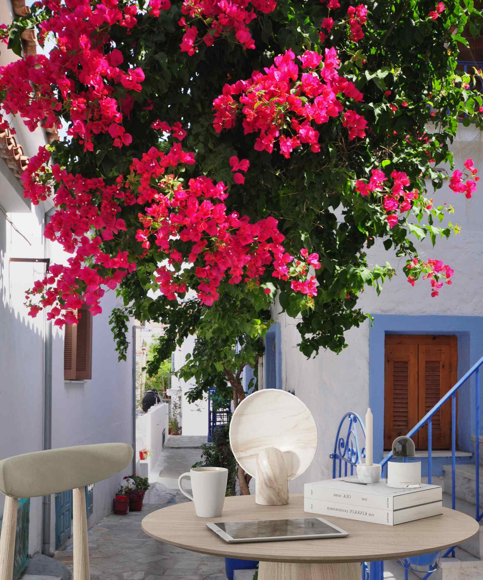 Fototapeta V Grécku pri bielych domoch rastú červené kvety