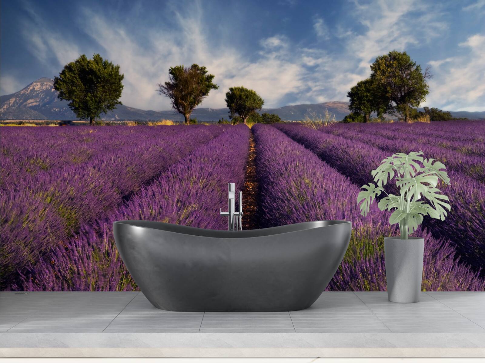 Fototapeta voňavé levanduľové polia