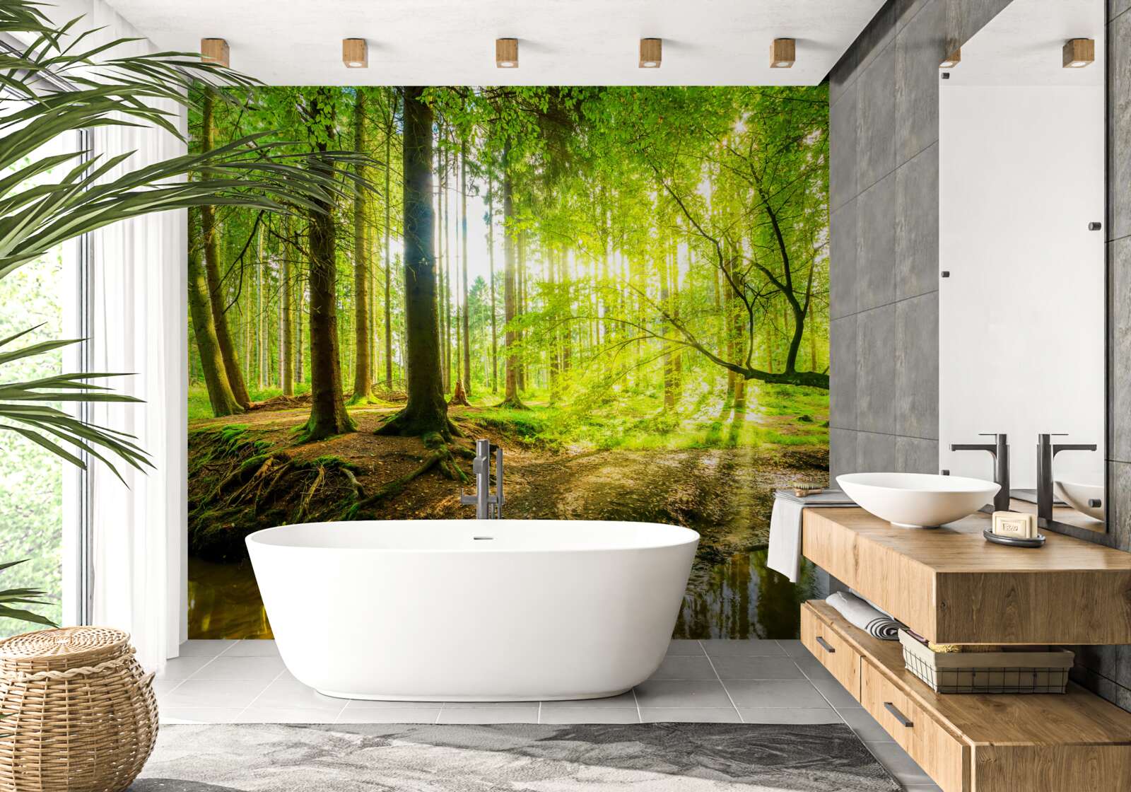 Fototapeta slnečné lúče prebúdzajú les spánok