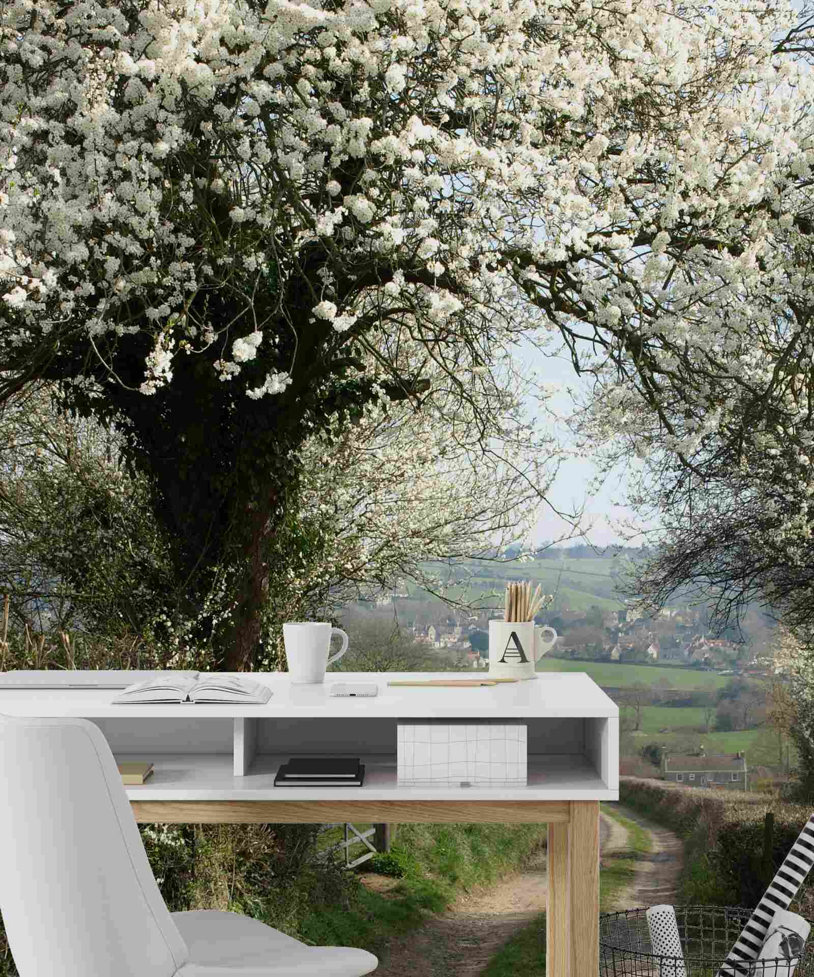 Fototapeta neskoro v noci