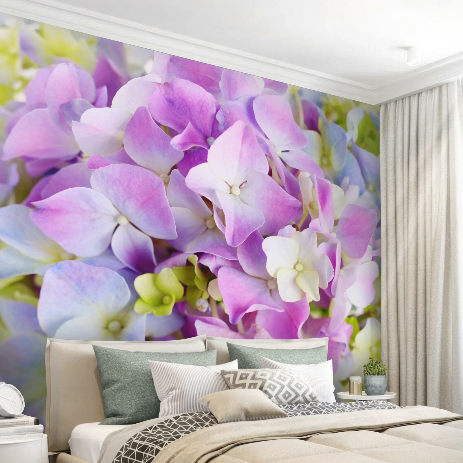 Fototapeta kytica bohatých hortenzií