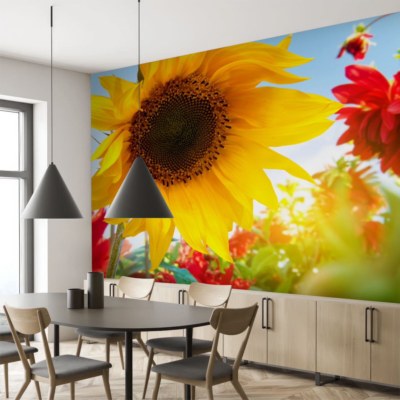 Fototapeta slnečná slnečnica slnečného dňa