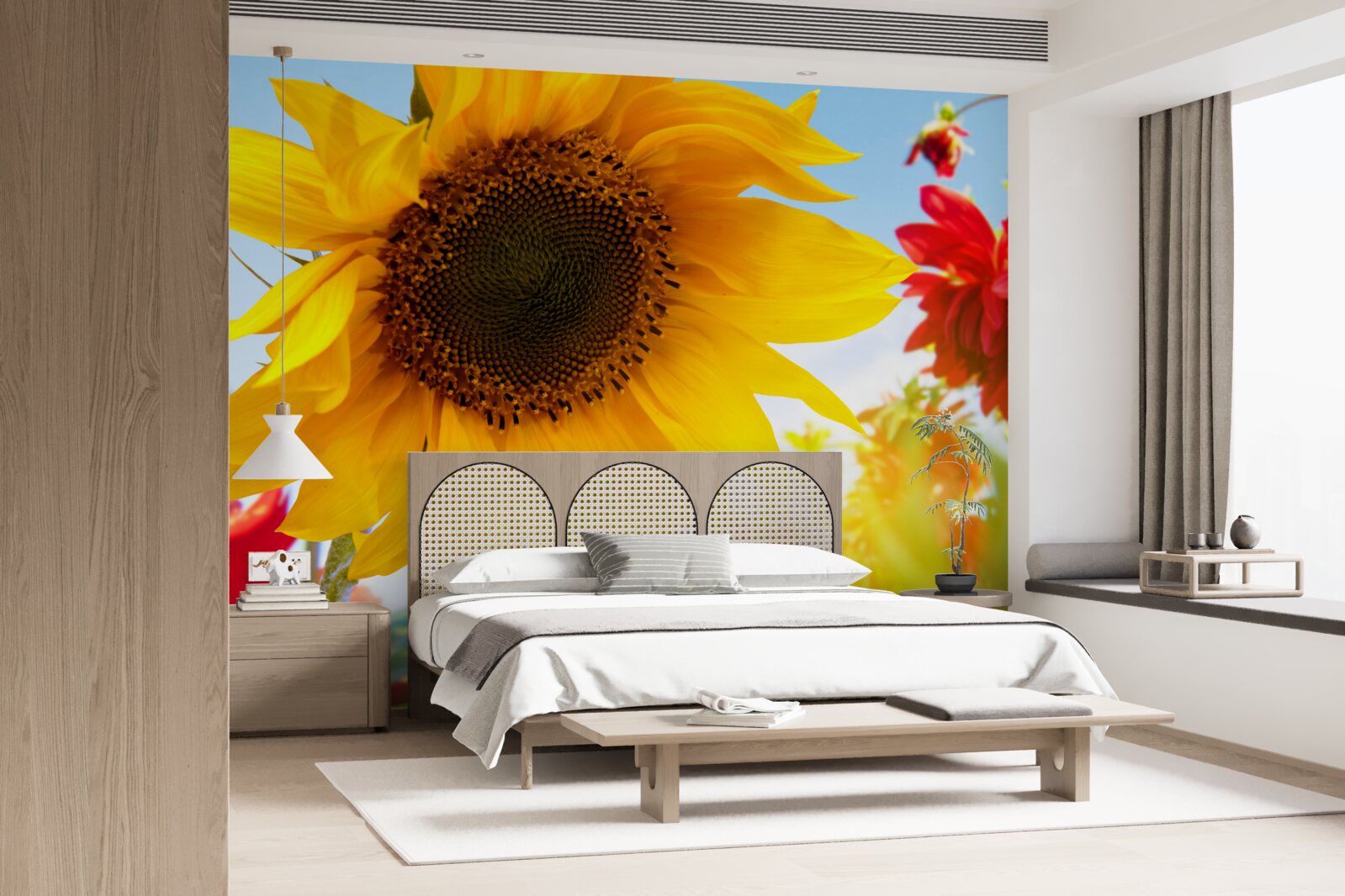 Fototapeta slnečná slnečnica slnečného dňa