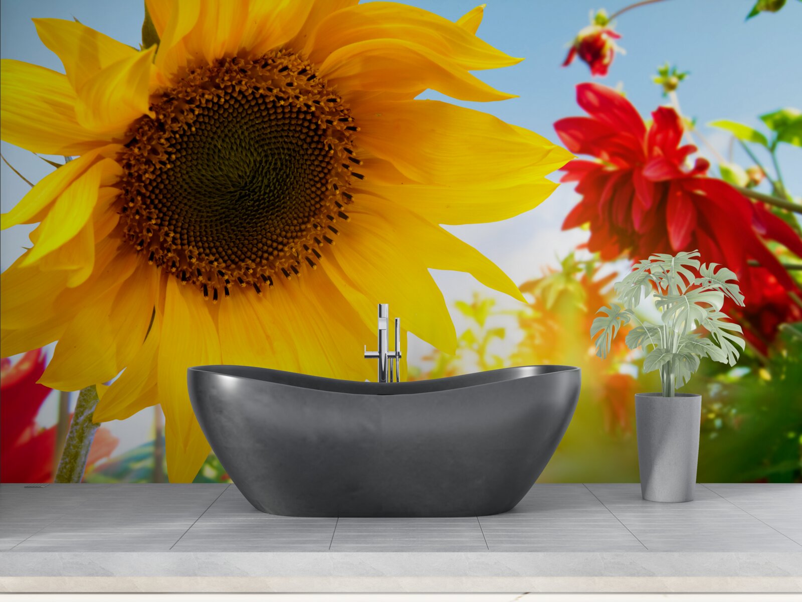 Fototapeta slnečná slnečnica slnečného dňa