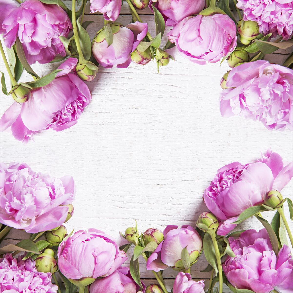 Fototapeta fialové kvety vo výzdobe