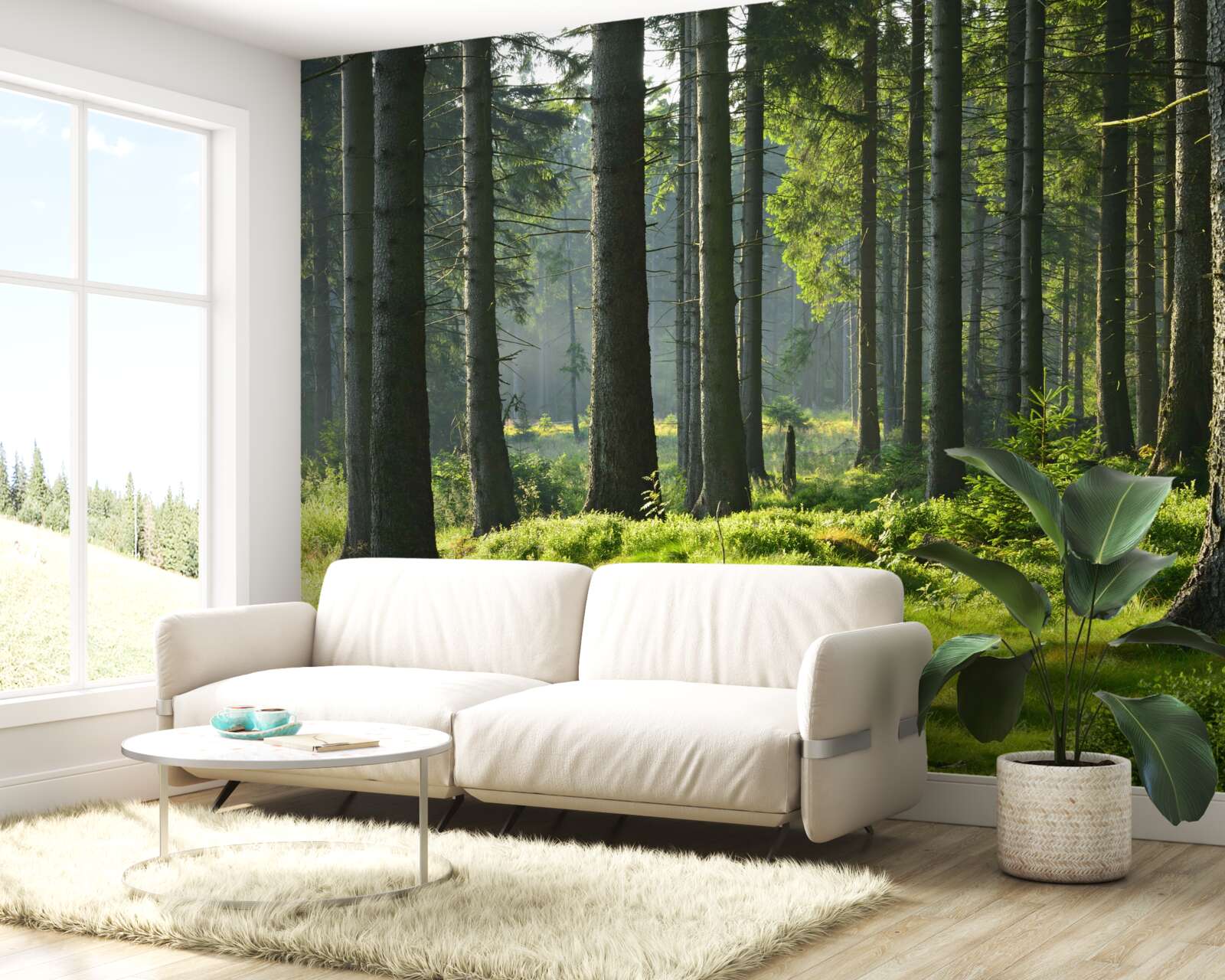 Fototapeta vysoké staré stromy a zelený mach