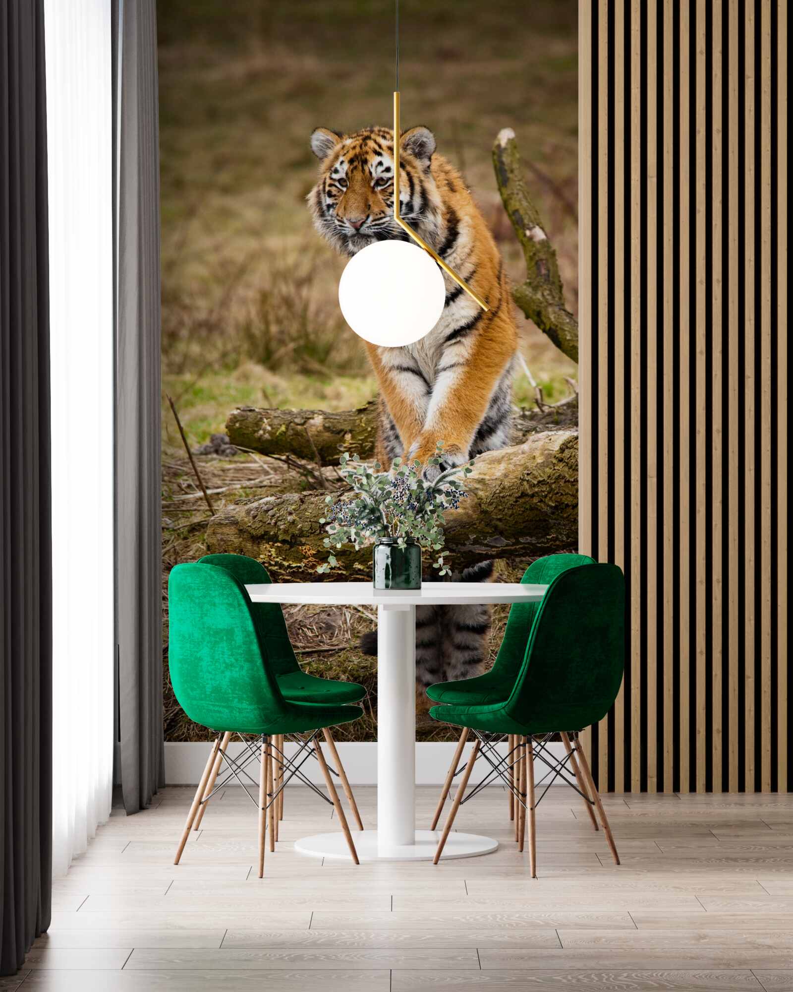 Fototapeta tiger sedí na konári a čaká na svoju korisť