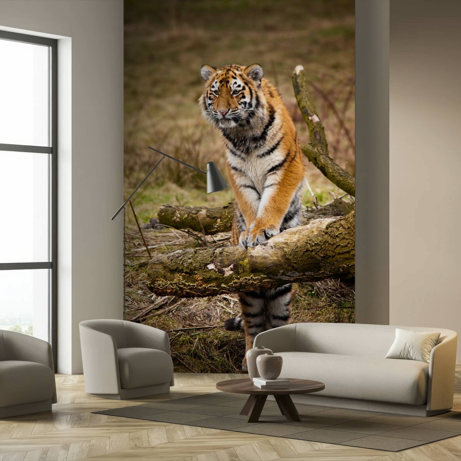 Fototapeta tiger sedí na konári a čaká na svoju korisť