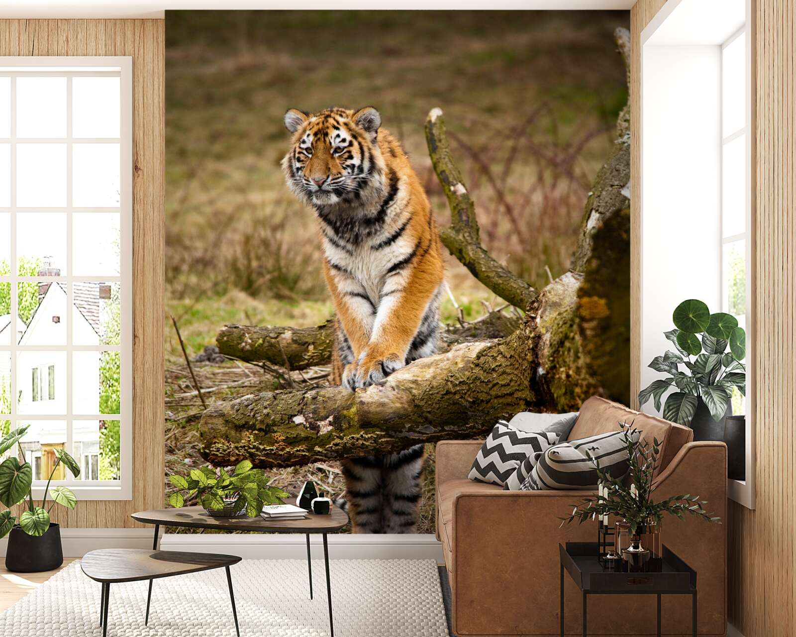 Fototapeta tiger sedí na konári a čaká na svoju korisť