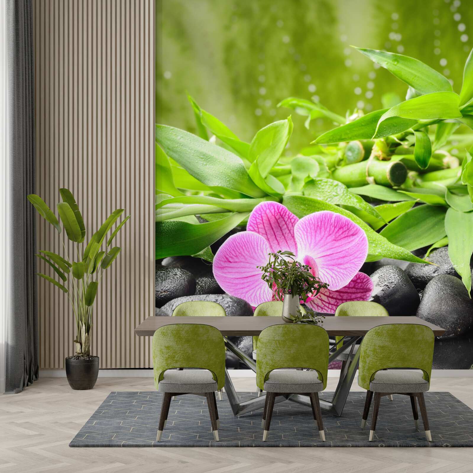 Fototapeta orchidea elegante umestnená na tmavom kameni pri vode