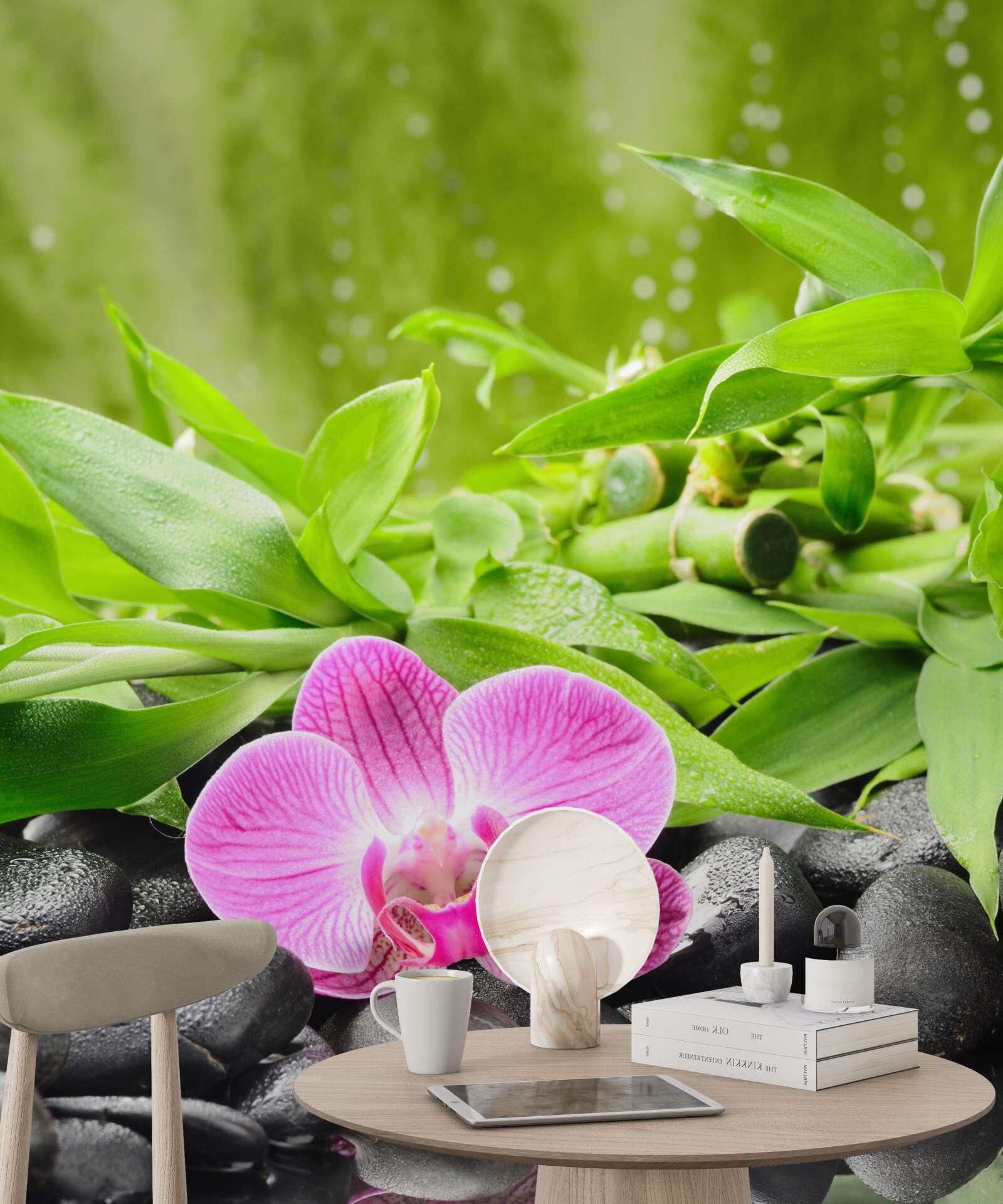 Fototapeta orchidea elegante umestnená na tmavom kameni pri vode