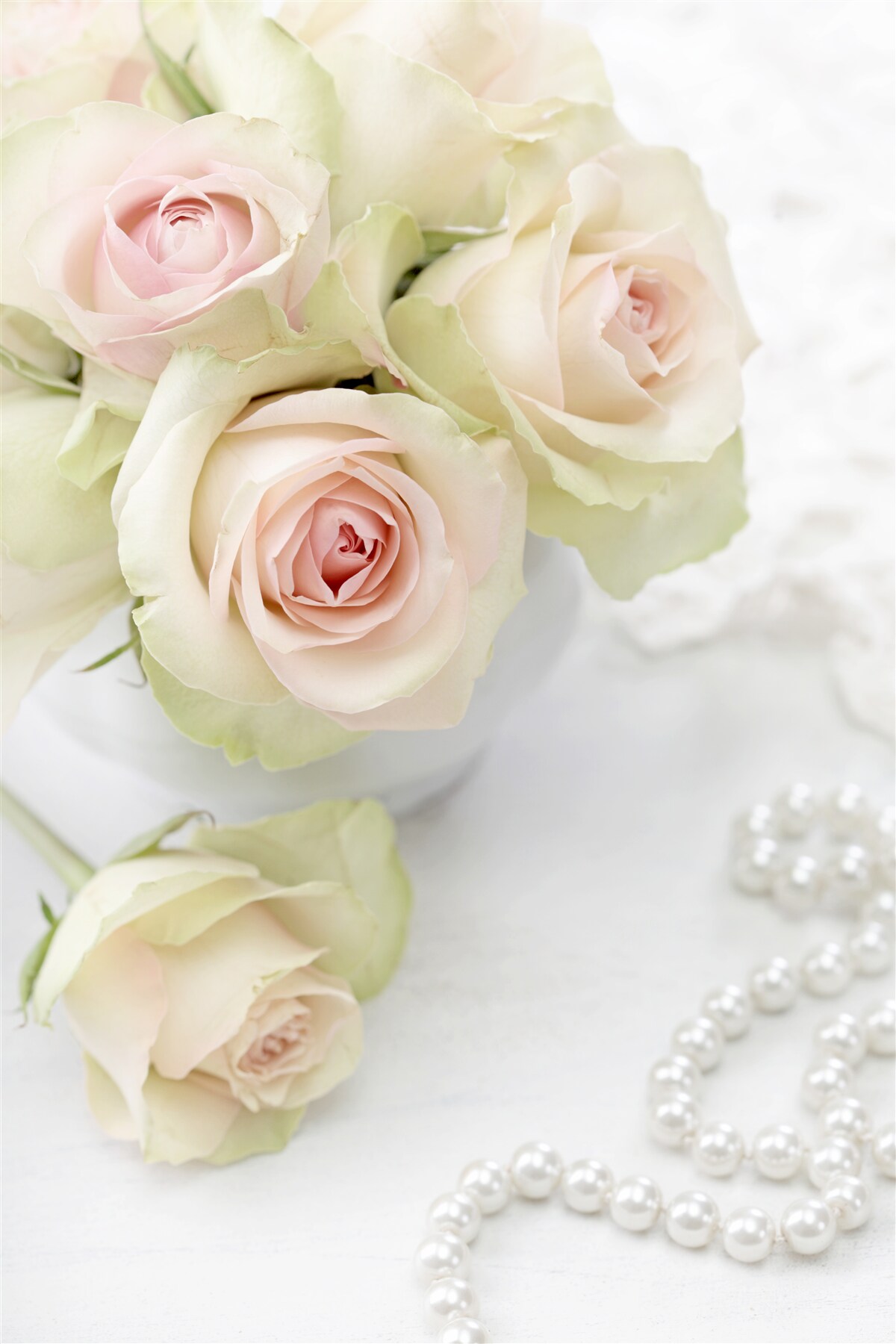 Fototapeta zloženie jemných bledoružových ruží a perál