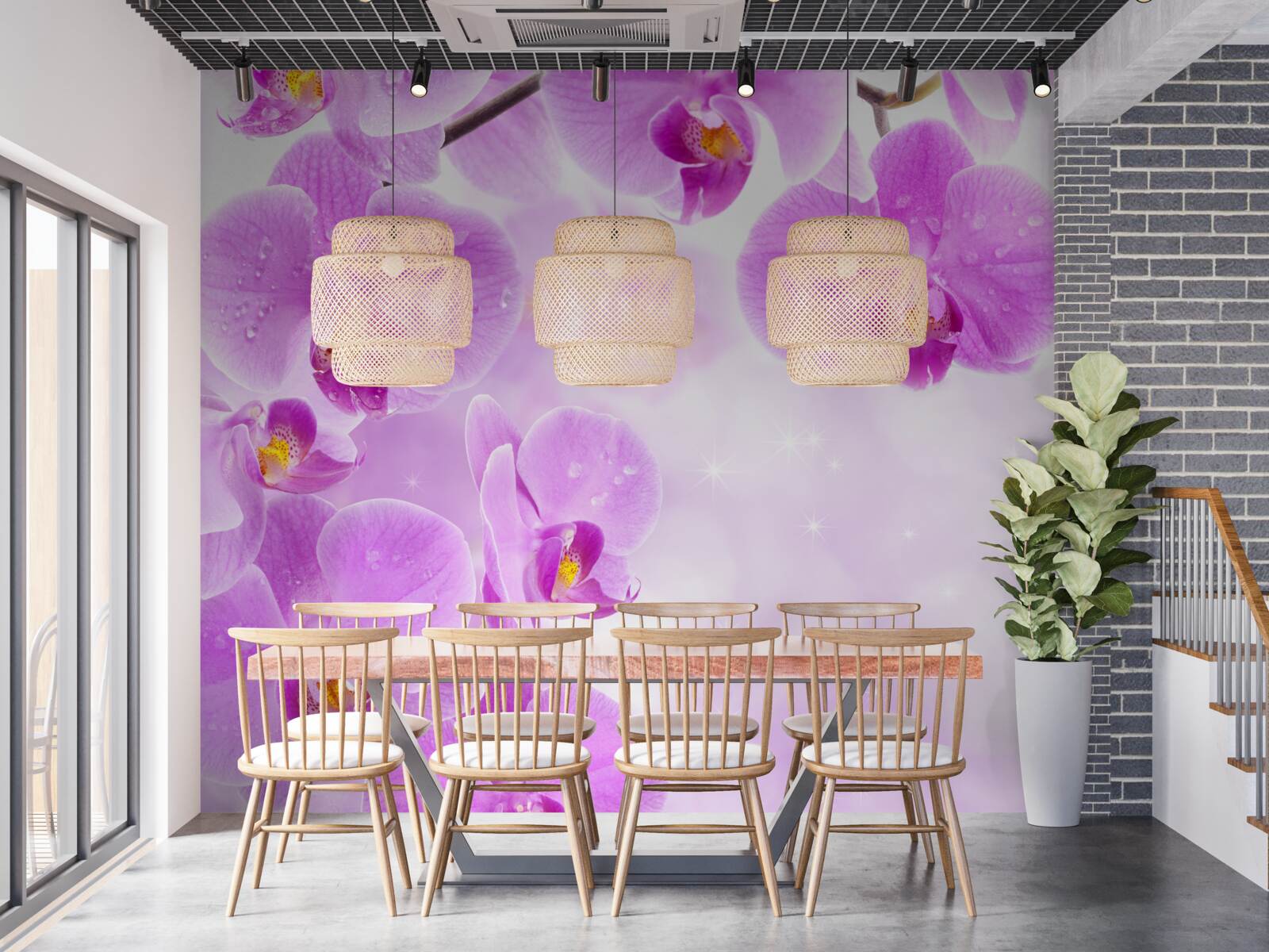 Fototapeta na konári kvitli veľké fialové orchidey