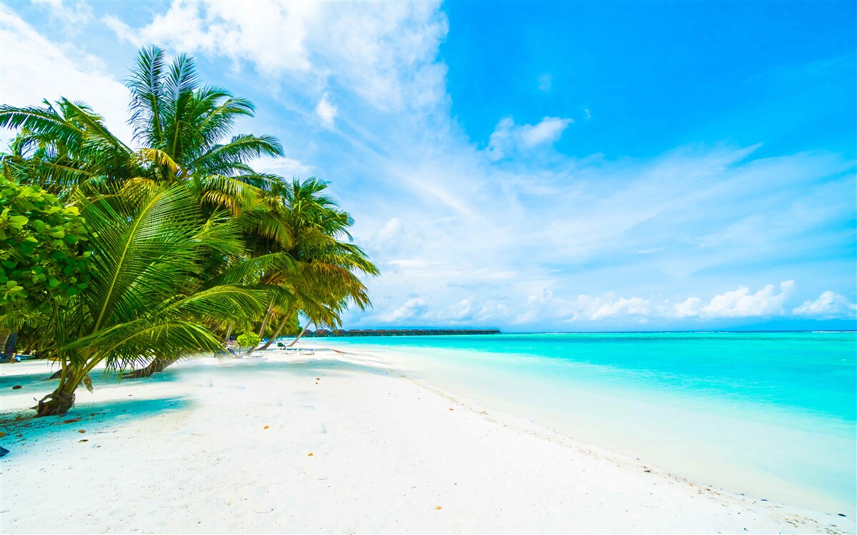 Fototapeta piesočné pobrežie a tyrkysová voda oceánu