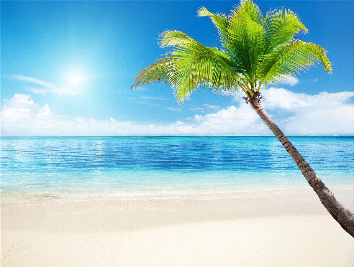 Fototapeta jasný slnečný deň na pobreží v tropoch