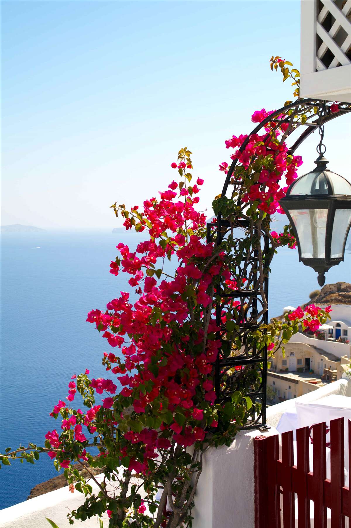 Fototapeta Oblúk pri jazierku, prepletený rozkvitnutými červenými kvetmi