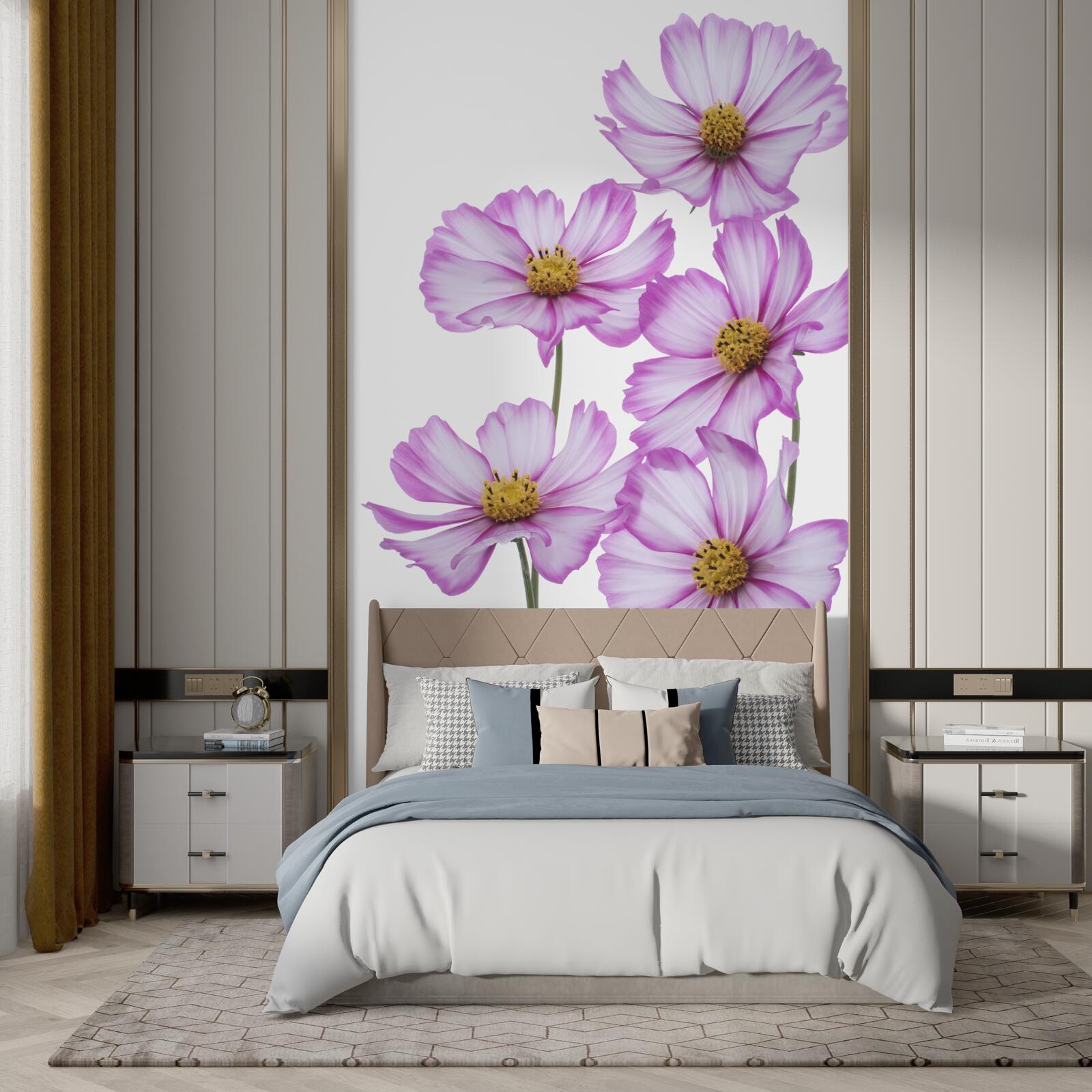 Fototapeta pôvabné orgovánové kvety na lúke