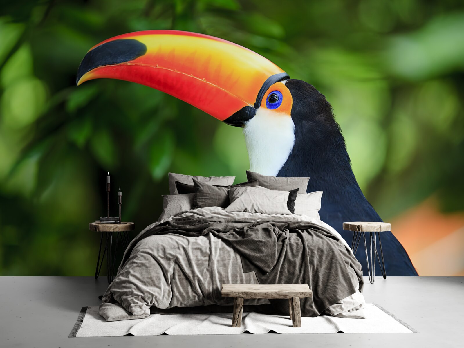 Fototapeta dospelý a pôvabný pelikán medzi zelenou