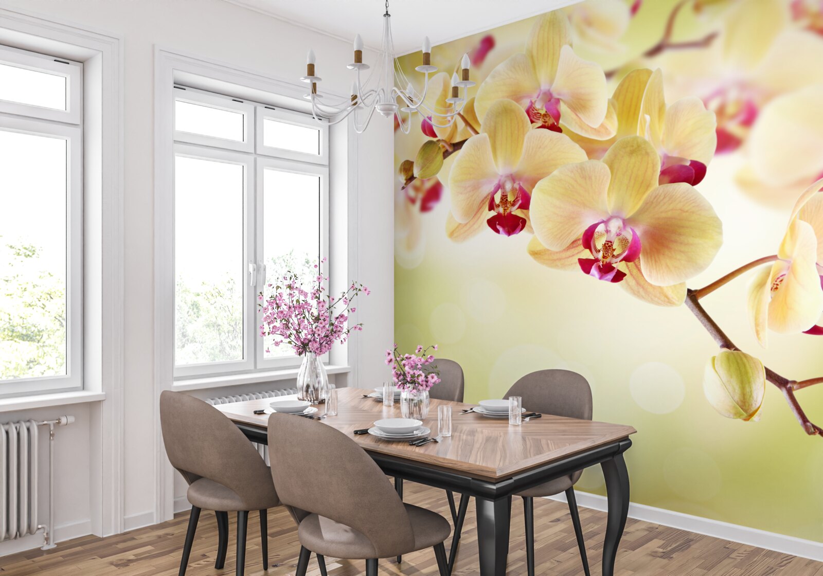 Fototapeta jemná krémová orchidea s pôvabnými púčikmi