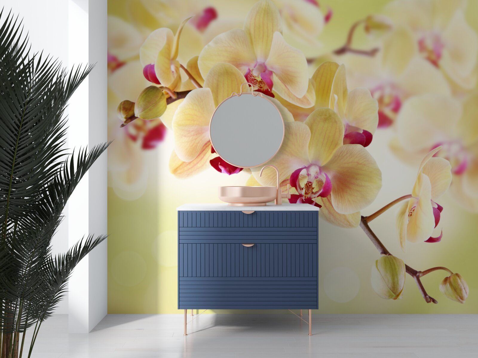 Fototapeta jemná krémová orchidea s pôvabnými púčikmi