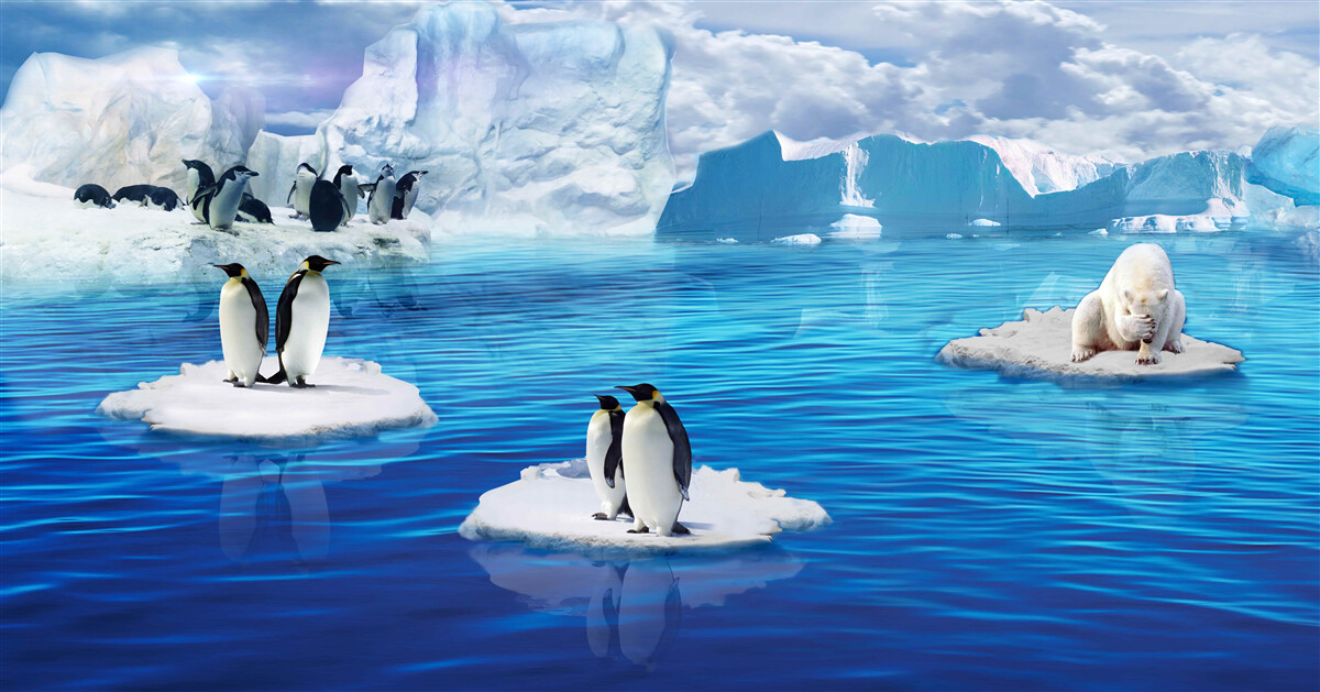 Fototapeta rodiny tučniakov na ľadových plošinách