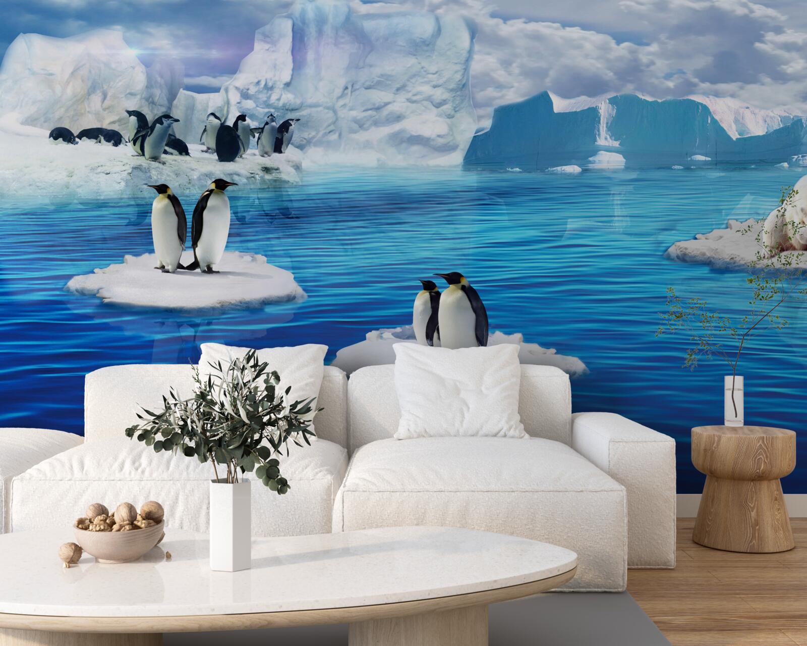 Fototapeta rodiny tučniakov na ľadových plošinách